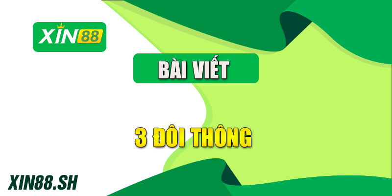 3 Đôi Thông