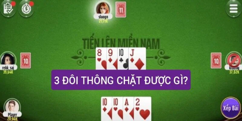 Ba đôi thông có thể chặt được những gì trong bài?